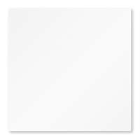 แผ่นฝ้าทีบาร์คัลเลอร์ทัช รุ่นไอออน คลีน ตราช้าง สีเพชร 600X600X9