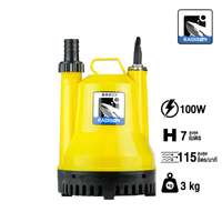 ปั๊มแช่ น้ำดี RADISON รุ่น RDW-100 ท่อ 1 นิ้ว ขนาด 100 วัตต์