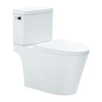 สุขภัณฑ์สองชิ้น รุ่น FOREST 495.61.467