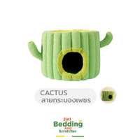 ที่นอนแมว + ที่ลับเล็บแมว Hosttail ลายกระบองเพชร