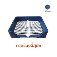 ถาดรองฉี่สุนัข Hosttail สีน้ำเงิน