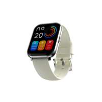สมาร์ทวอทช์ HiFuture Smartwatchรุ่น Zone2 (Silver)