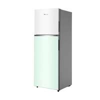Hisense ตู้เย็น 2 ประตู ขนาด 11.5 คิว สี Two tone ขาว-เขียว รุ่น RT419N4TBN
