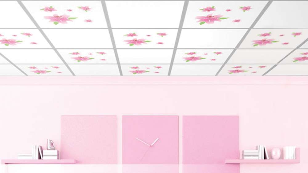 Interior-Ceiling-Super-Smart