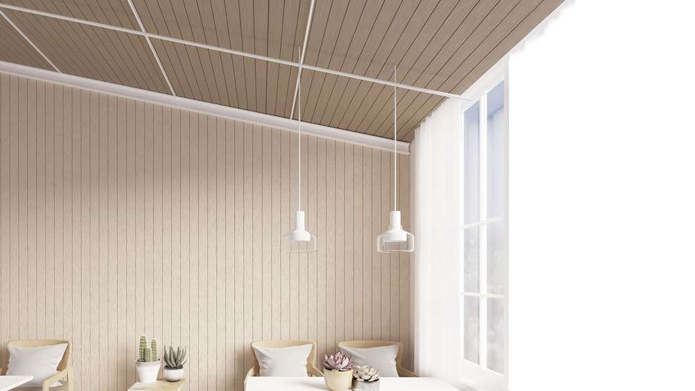 Interior-Ceiling-Rustic