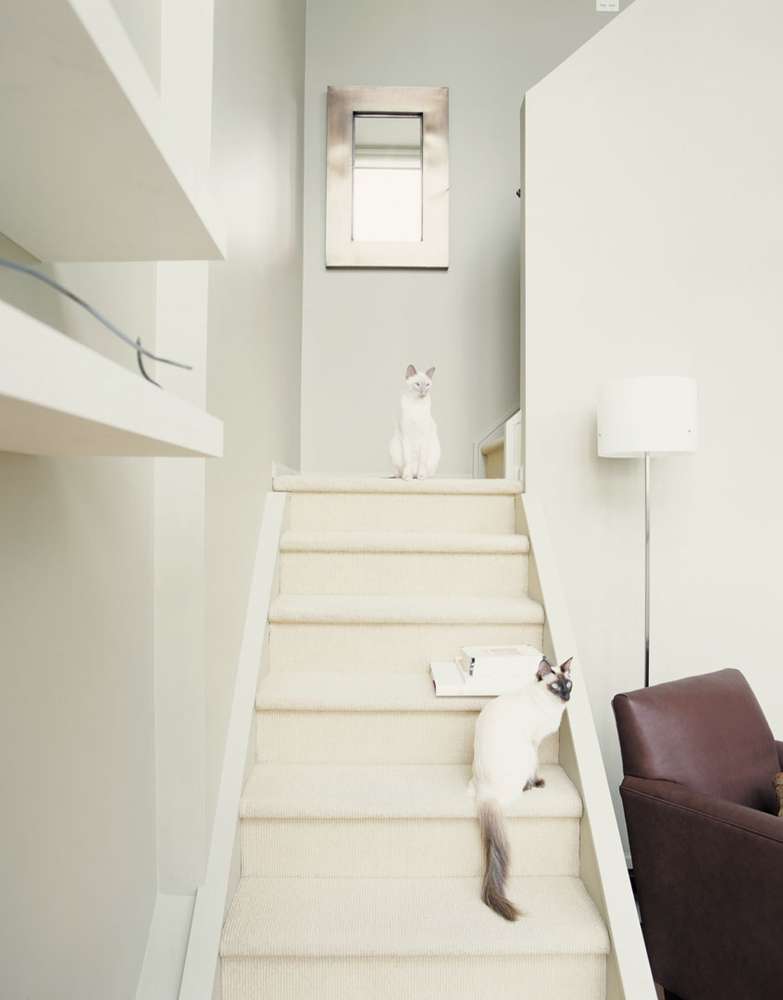 scg-smartboard-square-edge-120x240-cm-05