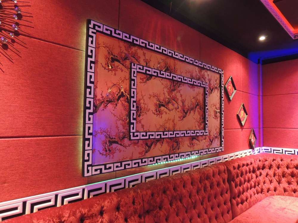 scg-acoustic-cylence-zandera-red-04